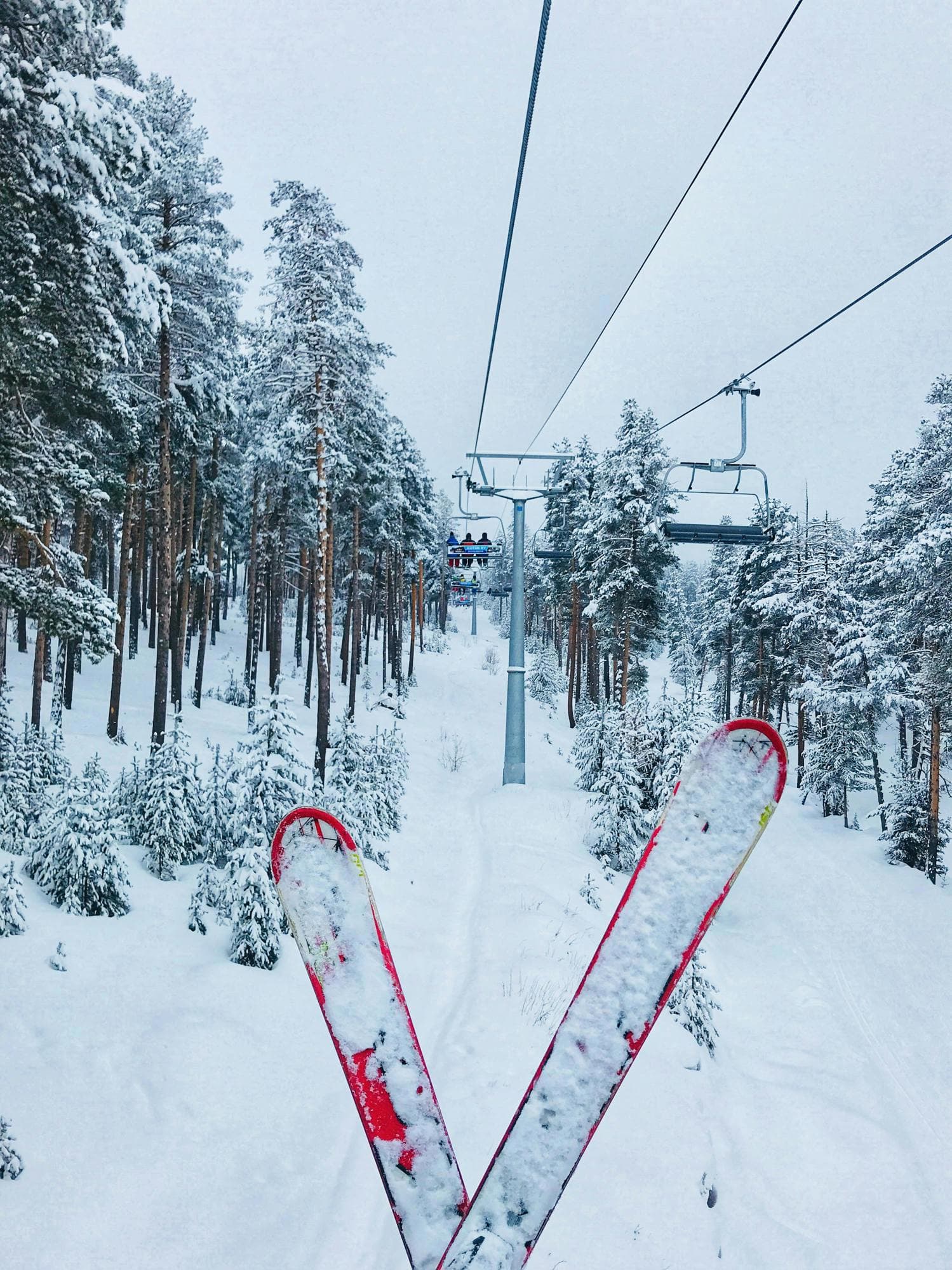 Ski Trips