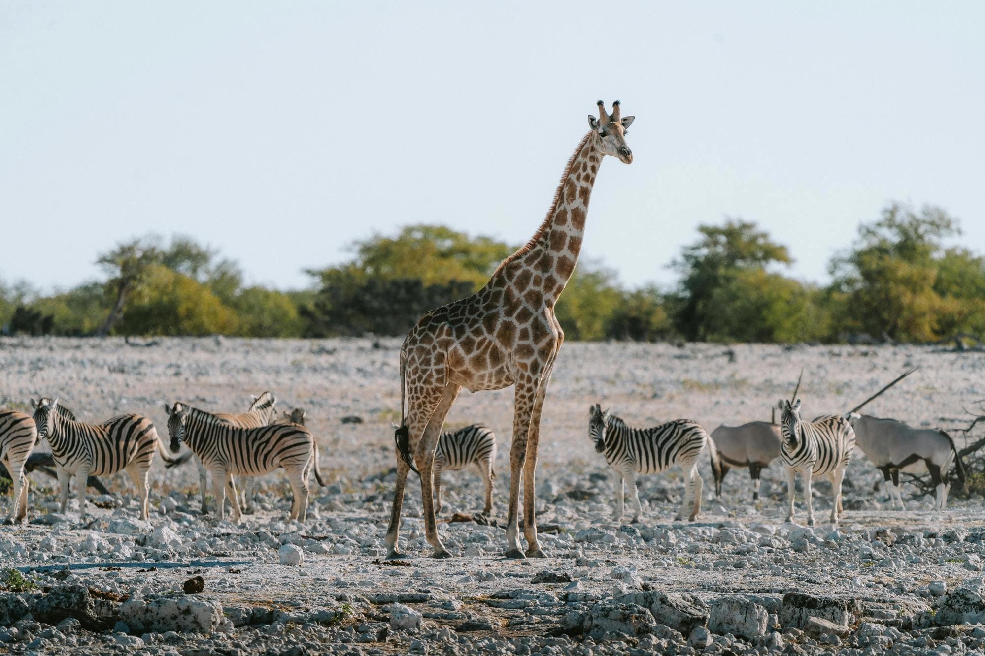 Tanzania